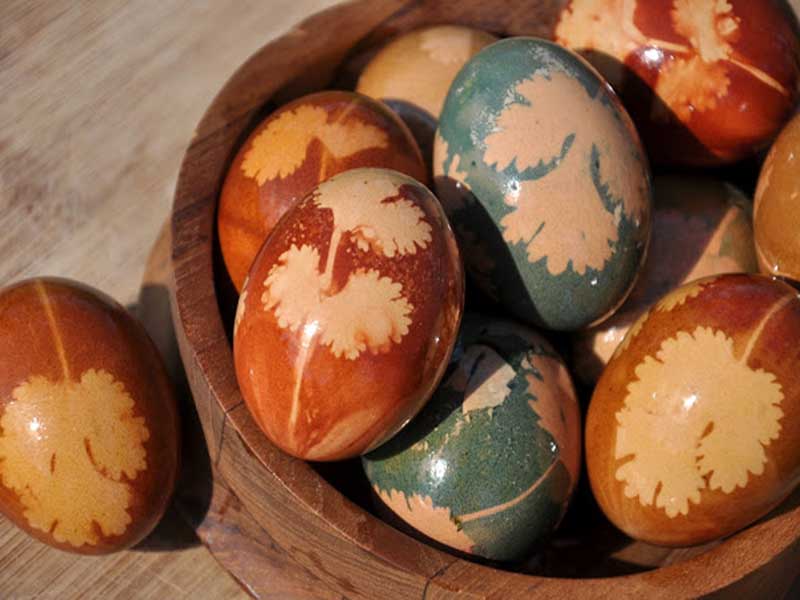 رنگ کردن تخم مرغ - زندگی بانوی شهر