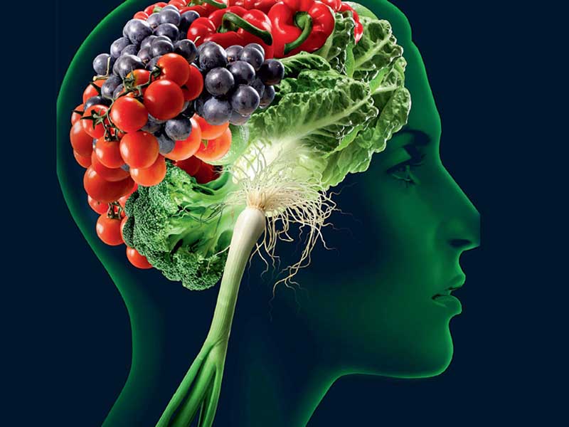 تاثیر غذا بر مغز
