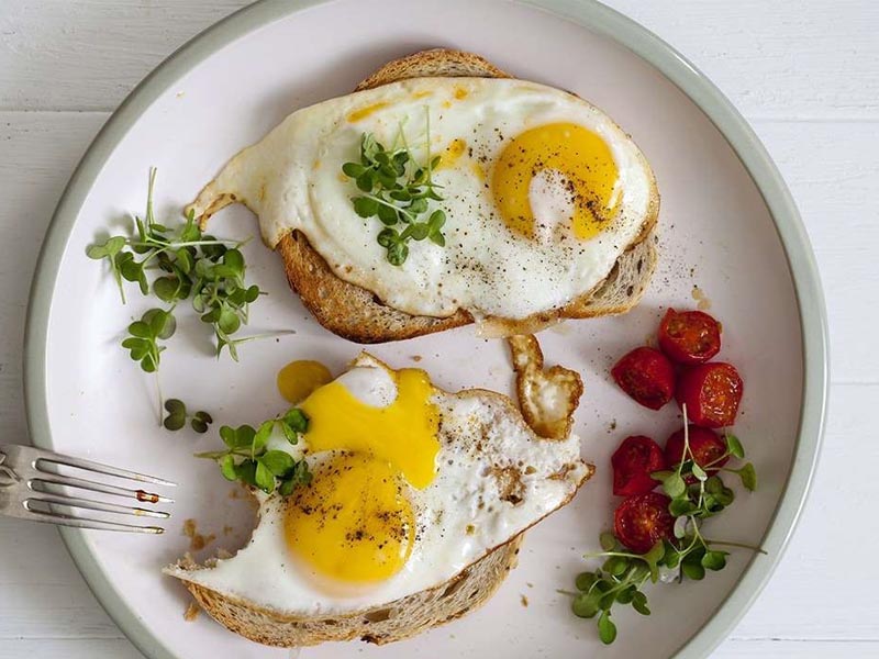 خوردن تخم مرغ - شادابی و سلامتی