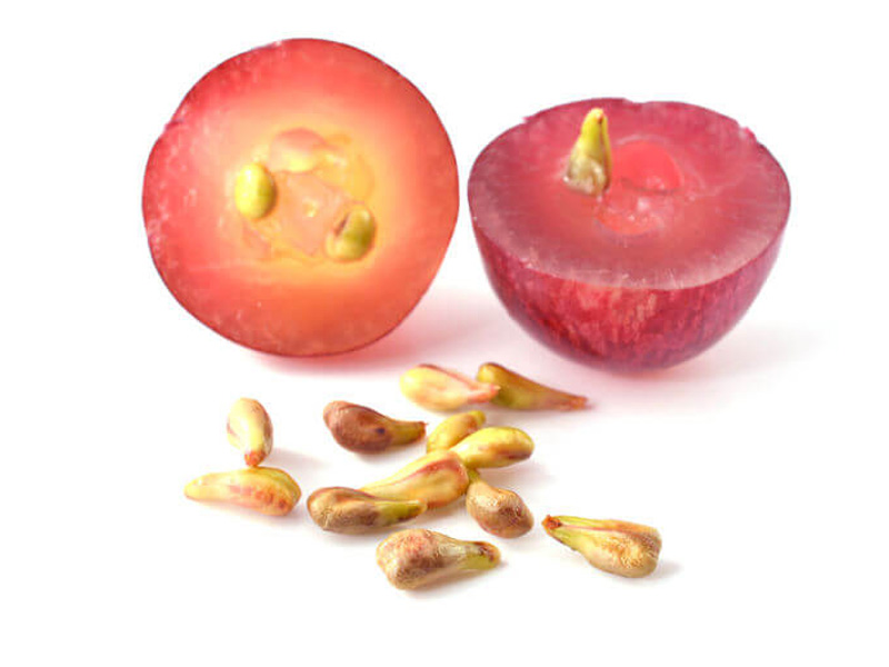 فواید انگور - شادابی و سلامتی