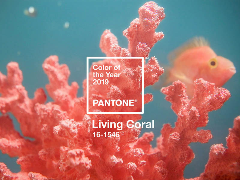 رنگ سال 2019، رنگ مرجانی (Living Coral)